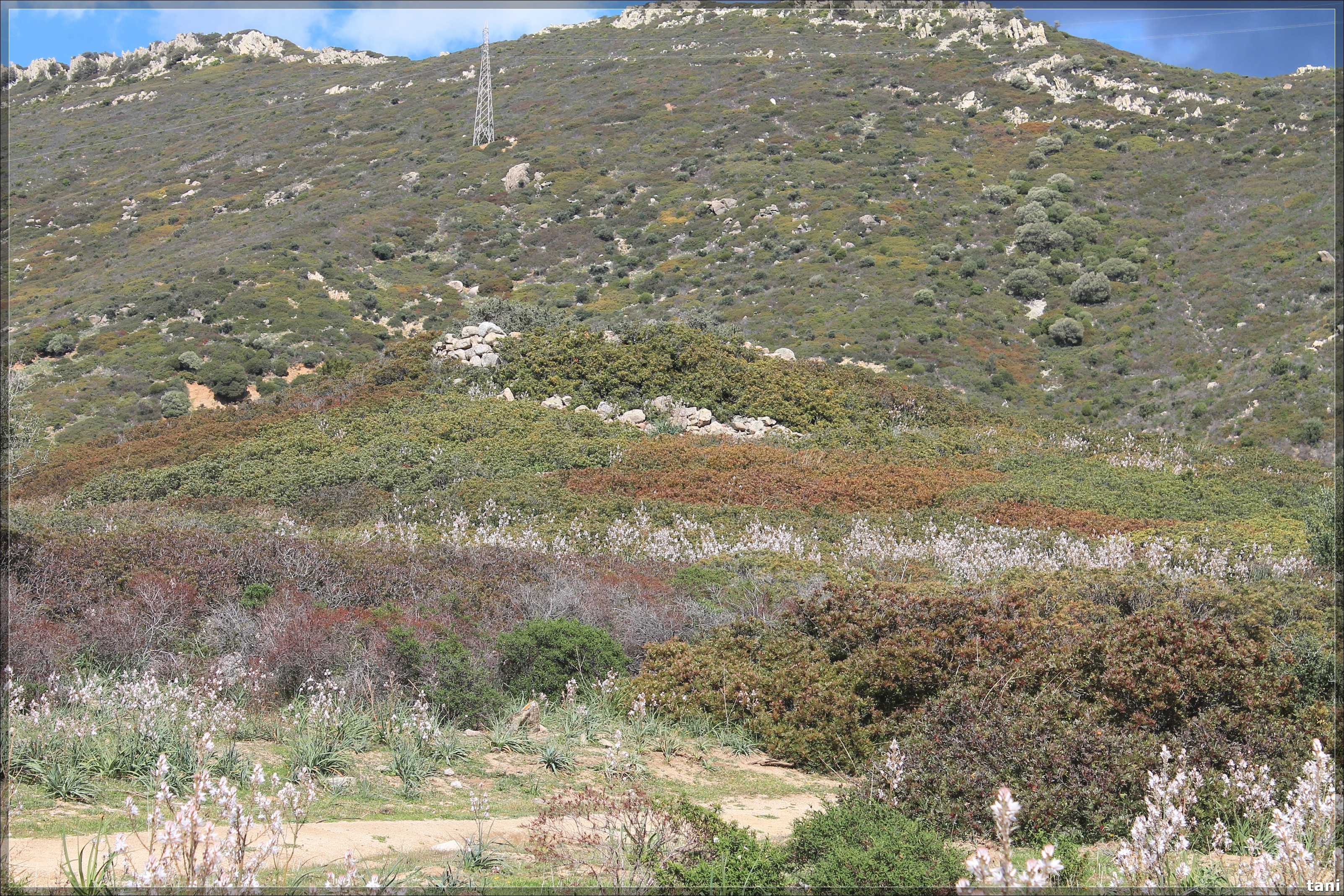 Nuraghe Callitas (nuraghe, insediamento fortificato) - Quartu Sant'Elena (CA)  (Età del Bronzo medio-Età del Bronzo finale)
