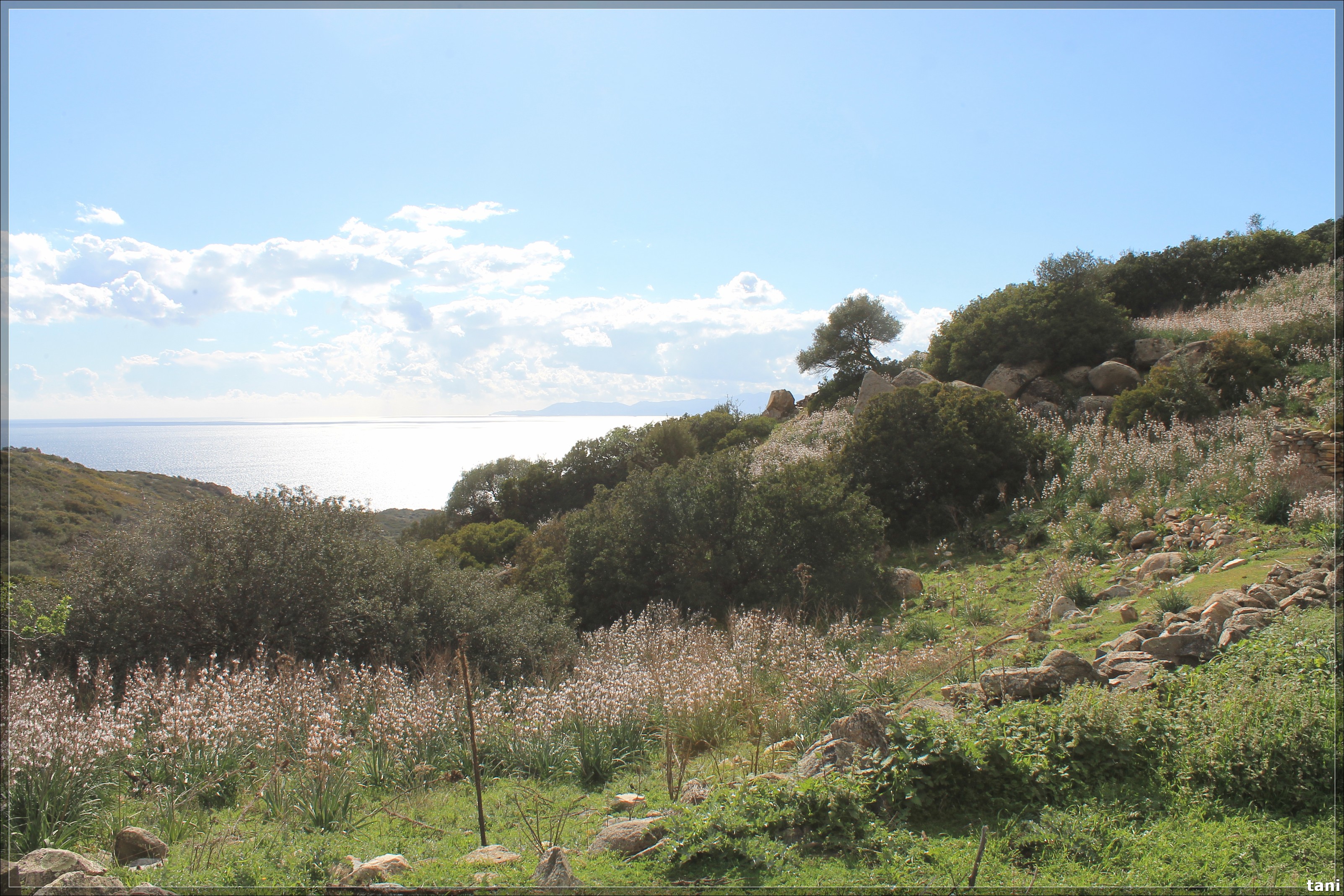 Sito pluristratificato Cuile Callitas (sito pluristratificato, nuraghe/ villaggio nuragico/ abitato romano) - Quartu Sant'Elena (CA)  (Età del Bronzo medio-Età del Bronzo finale/ Età romana)