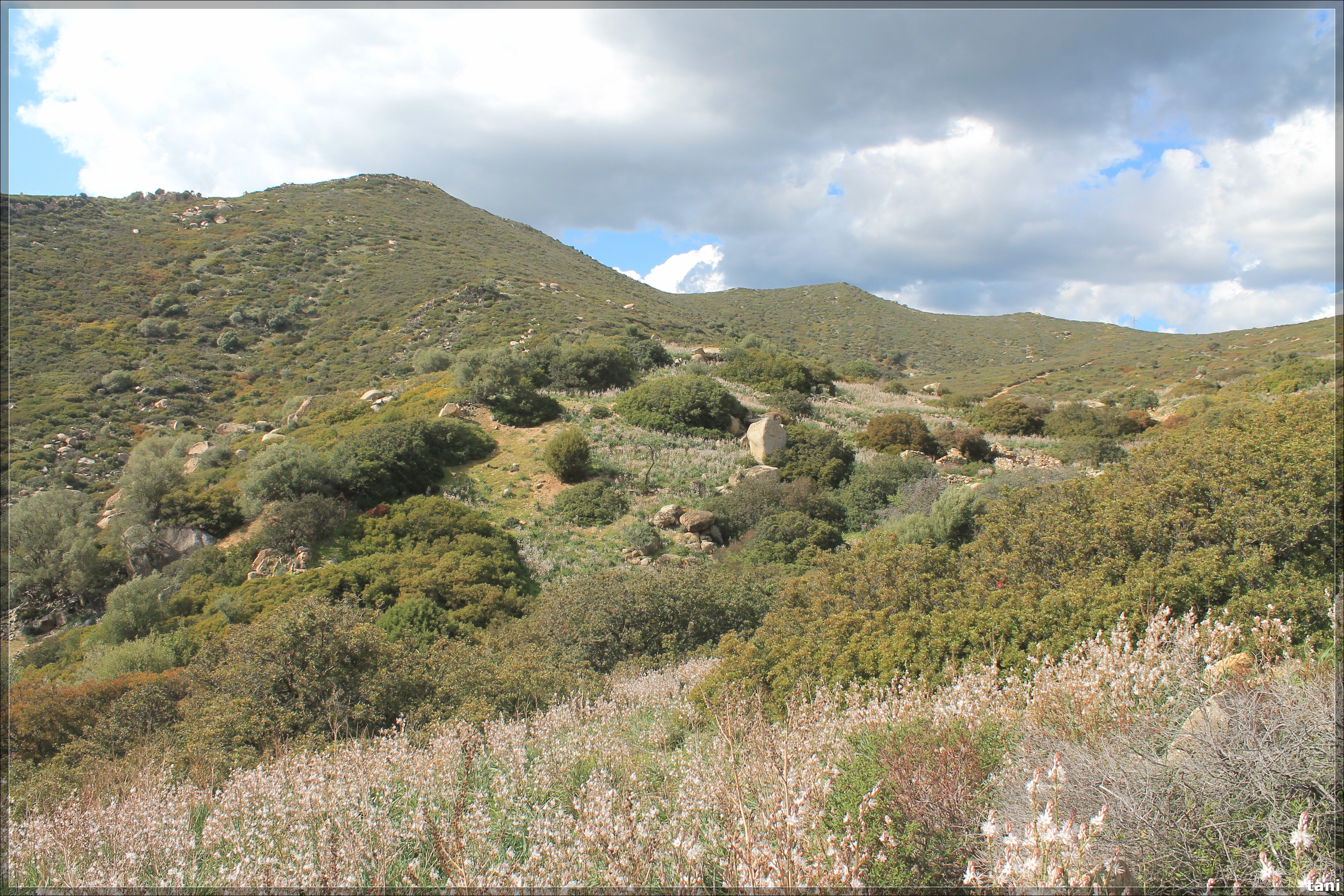 Insediamento Cuile Callitas (insediamento, villaggio nuragico/ abitato romano) - Quartu Sant'Elena (CA)  (Età del Bronzo medio-Età del Bronzo finale/ Età romana)