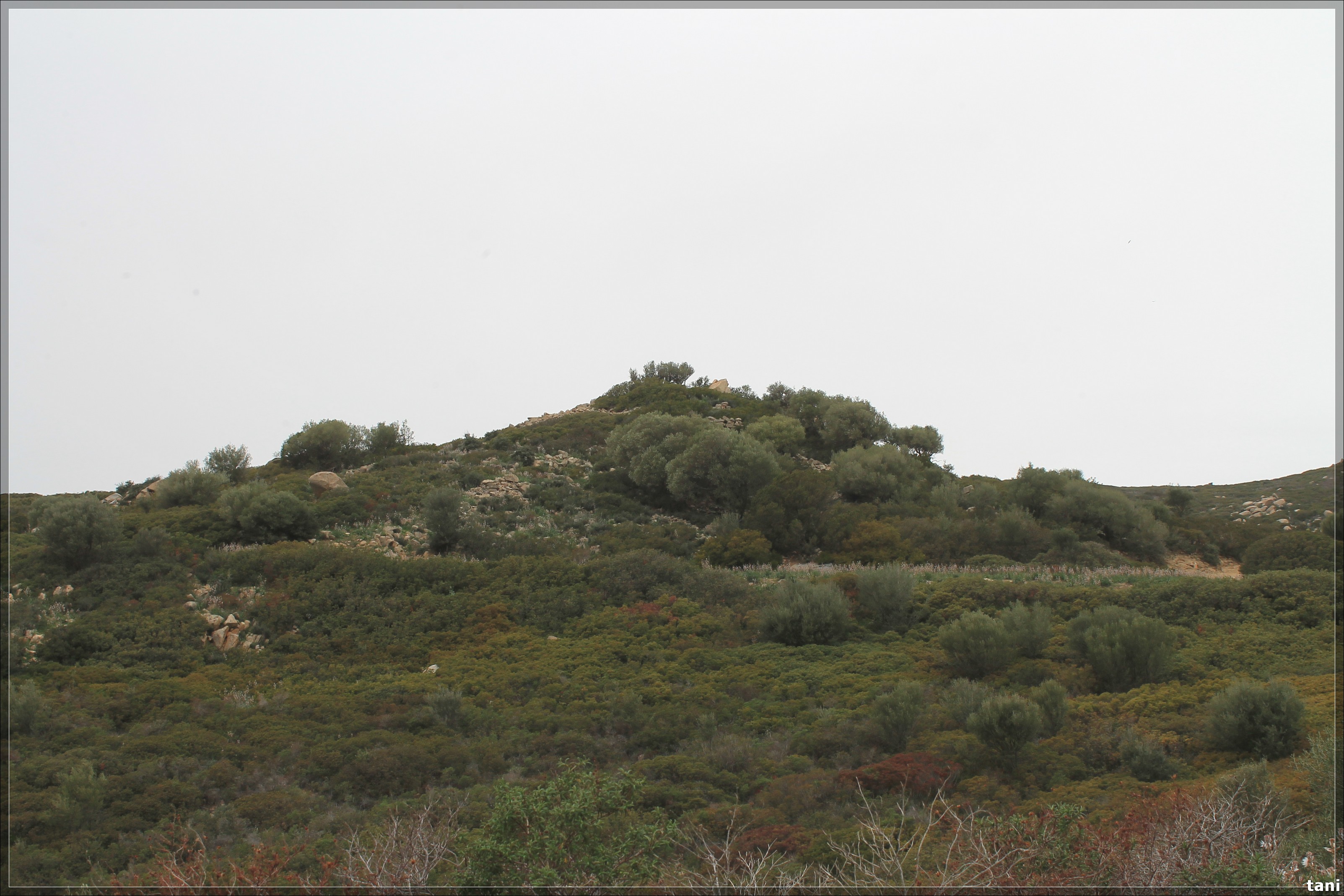 Nuraghe Palisteri (nuraghe, insediamento fortificato) - Quartu Sant'Elena (CA)  (Età del Bronzo medio-Età del Bronzo finale)