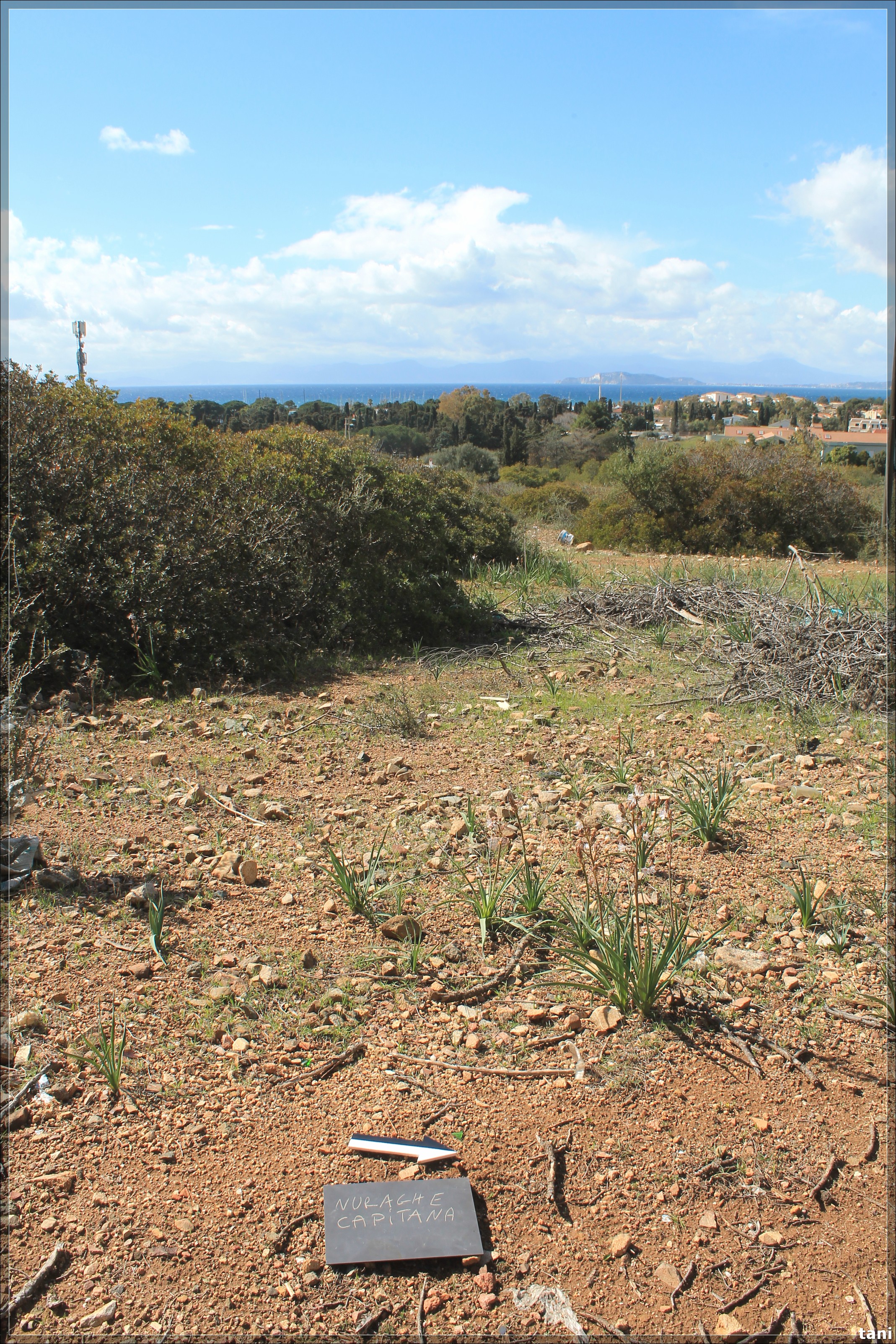 Nuraghe Capitana (nuraghe, insediamento fortificato) - Quartu Sant'Elena (CA)  (Età del Bronzo medio-Età del Bronzo finale)