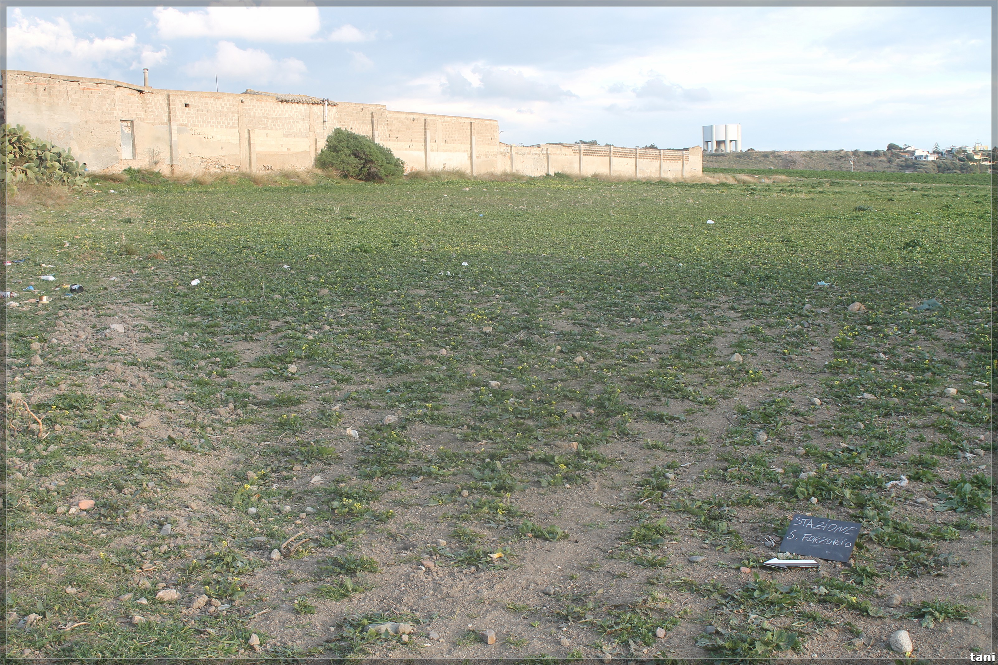 Insediamento San Forzorio-Sa Funtanedda (sito pluristratificato, struttura di incerta definizione/ necropoli) - Quartu Sant'Elena (CA)  (Età romana imperiale-Età altomedievale)