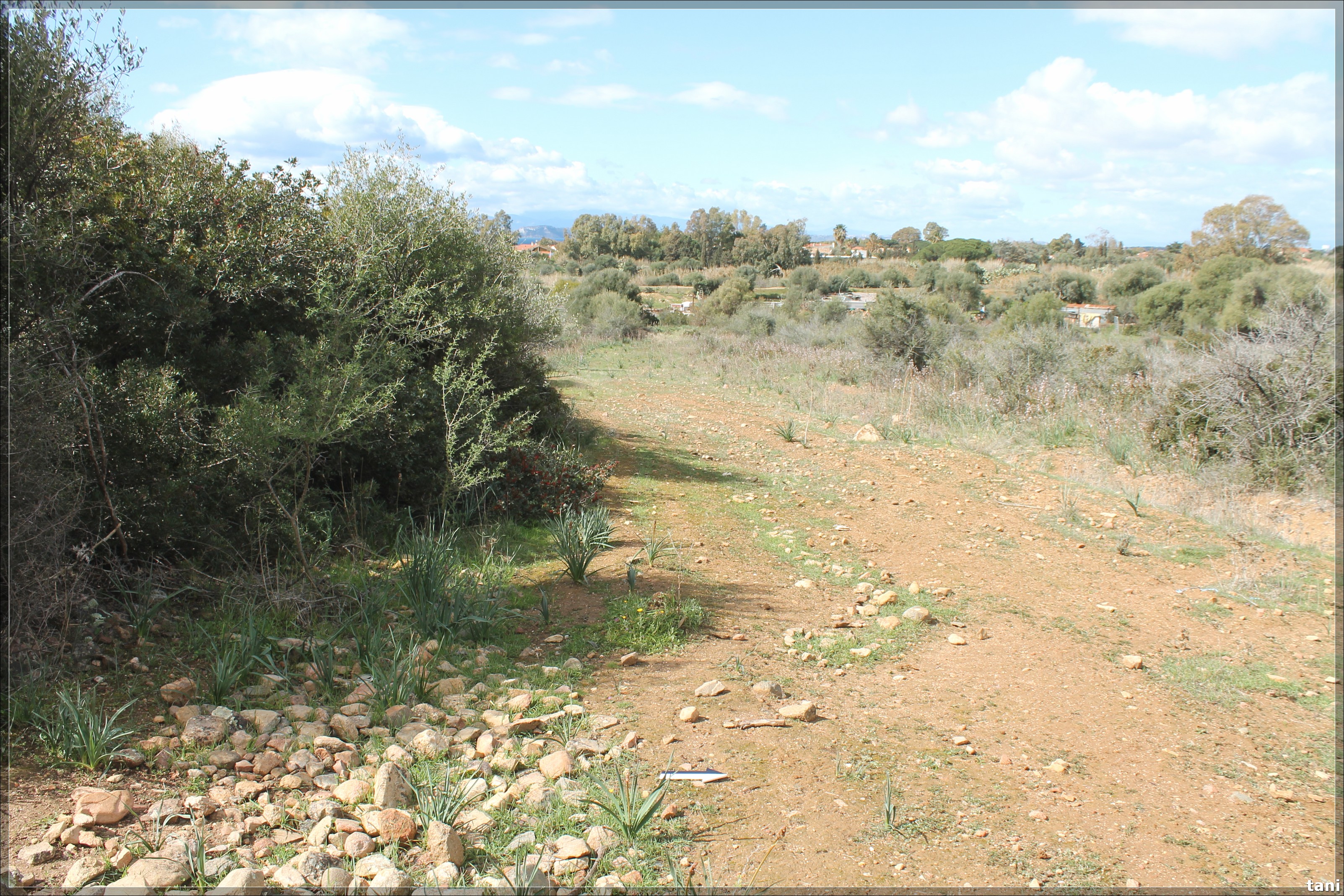 Area di dispersione di materiali Meris (area di materiale mobile, area di materiale fittile e anforacei) - Quartu Sant'Elena (CA)  (Età punica-Età romana)