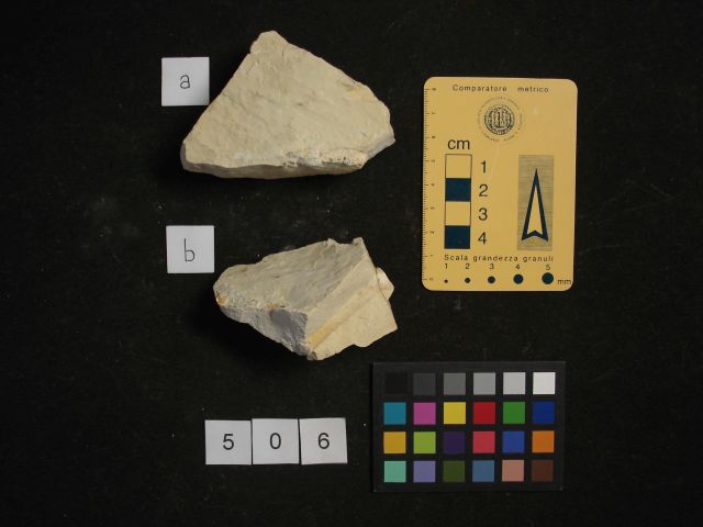 fossile (crostaceo, esemplare)