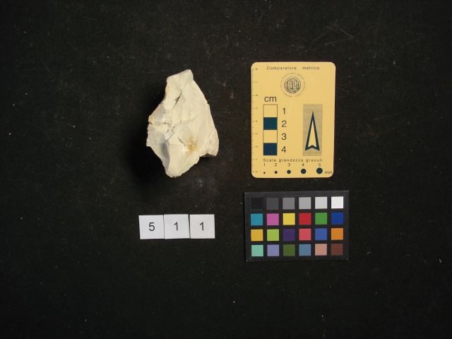 fossile (crostaceo, esemplare)