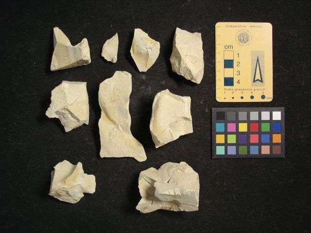 campione non identificato