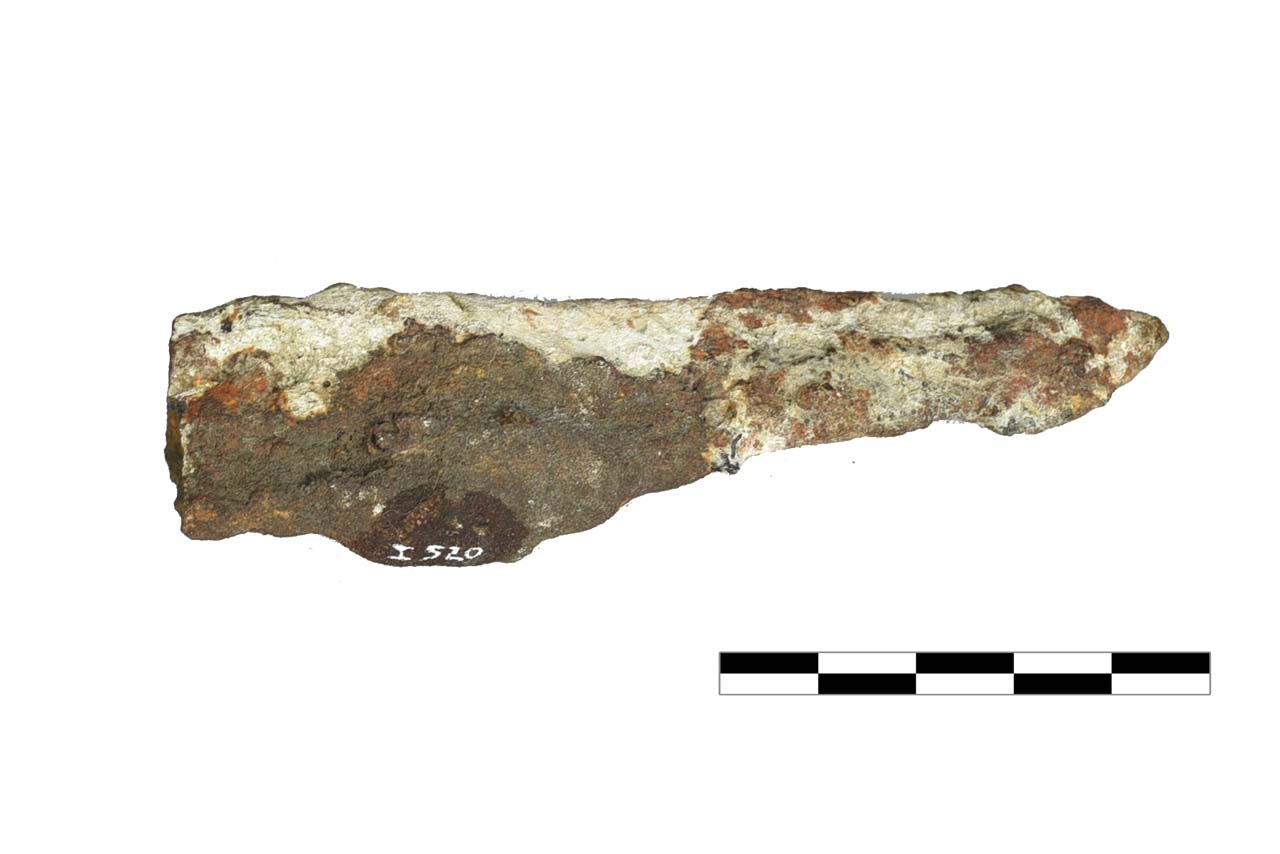 lama (non determinabile)