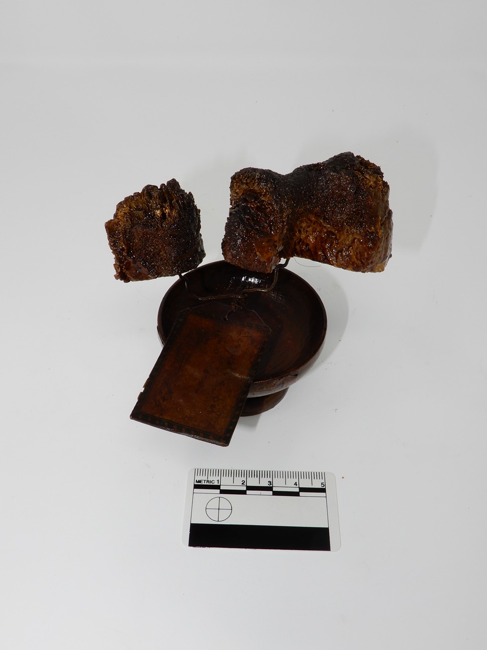 singolo reperto antropologico, reperto osseo (morfologia alterata per patologia) (XIX-XX)