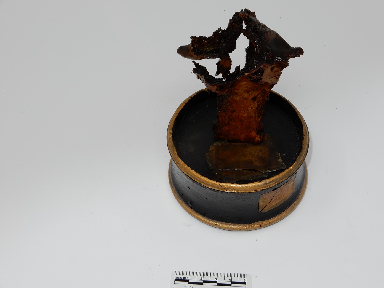 singolo reperto antropologico, reperto osseo (morfologia alterata per patologia) (XIX-XX)