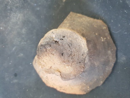 SINGOLO OGGETTO/ coperchio, PERIODIZZAZIONI/ Storia/ Eta' antica/ Eta' romana/ Eta' romana imperiale