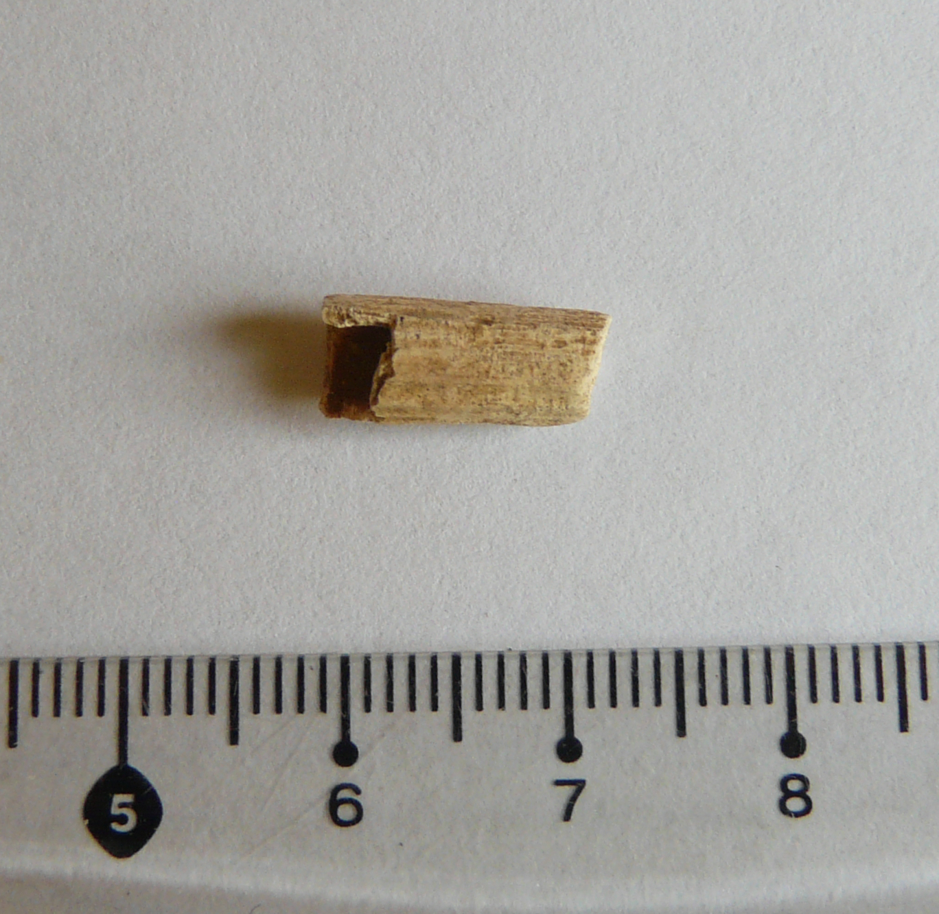 SINGOLO OGGETTO/ vago, Età del Bronzo antico