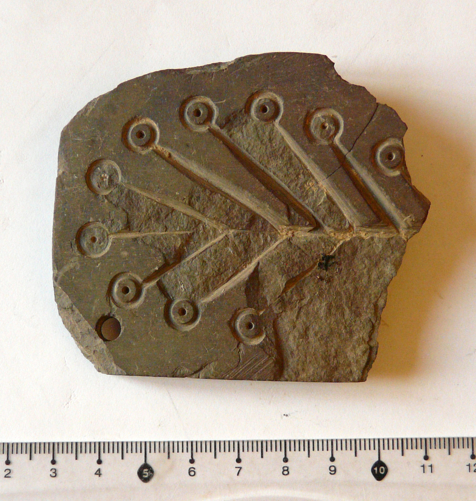 SINGOLO OGGETTO/ matrice, Protostoria