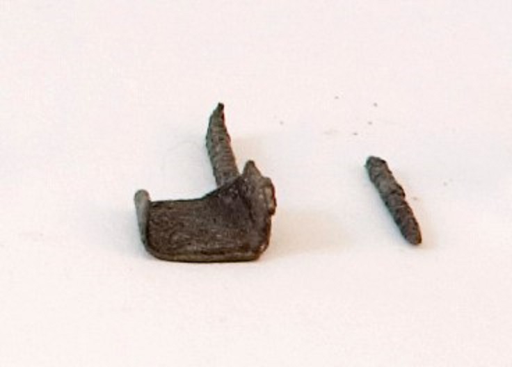 SINGOLO OGGETTO/ fibula, 