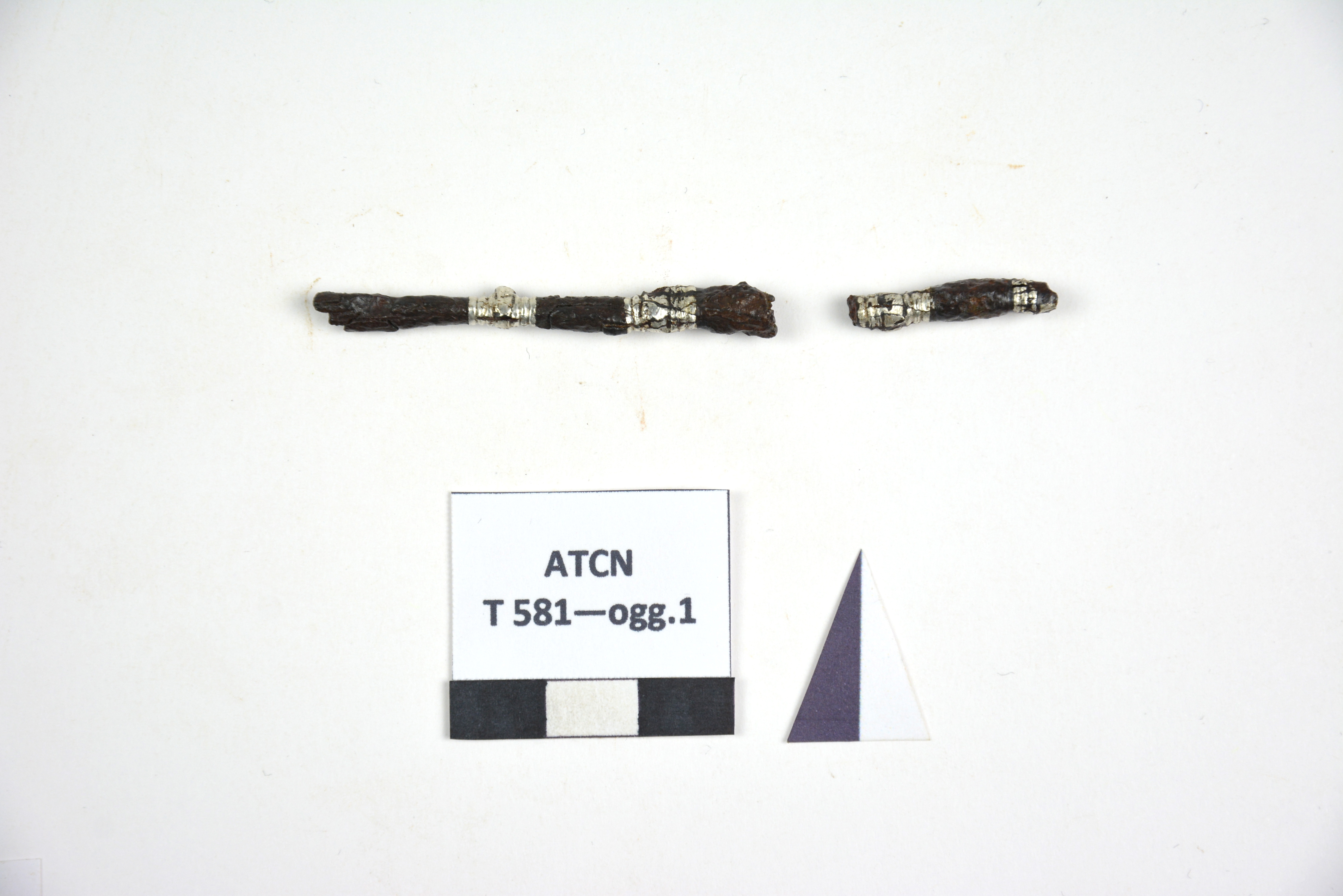 SINGOLO OGGETTO/ ago, PERIODIZZAZIONI/ Storia/ Eta' medievale/ Alto Medioevo