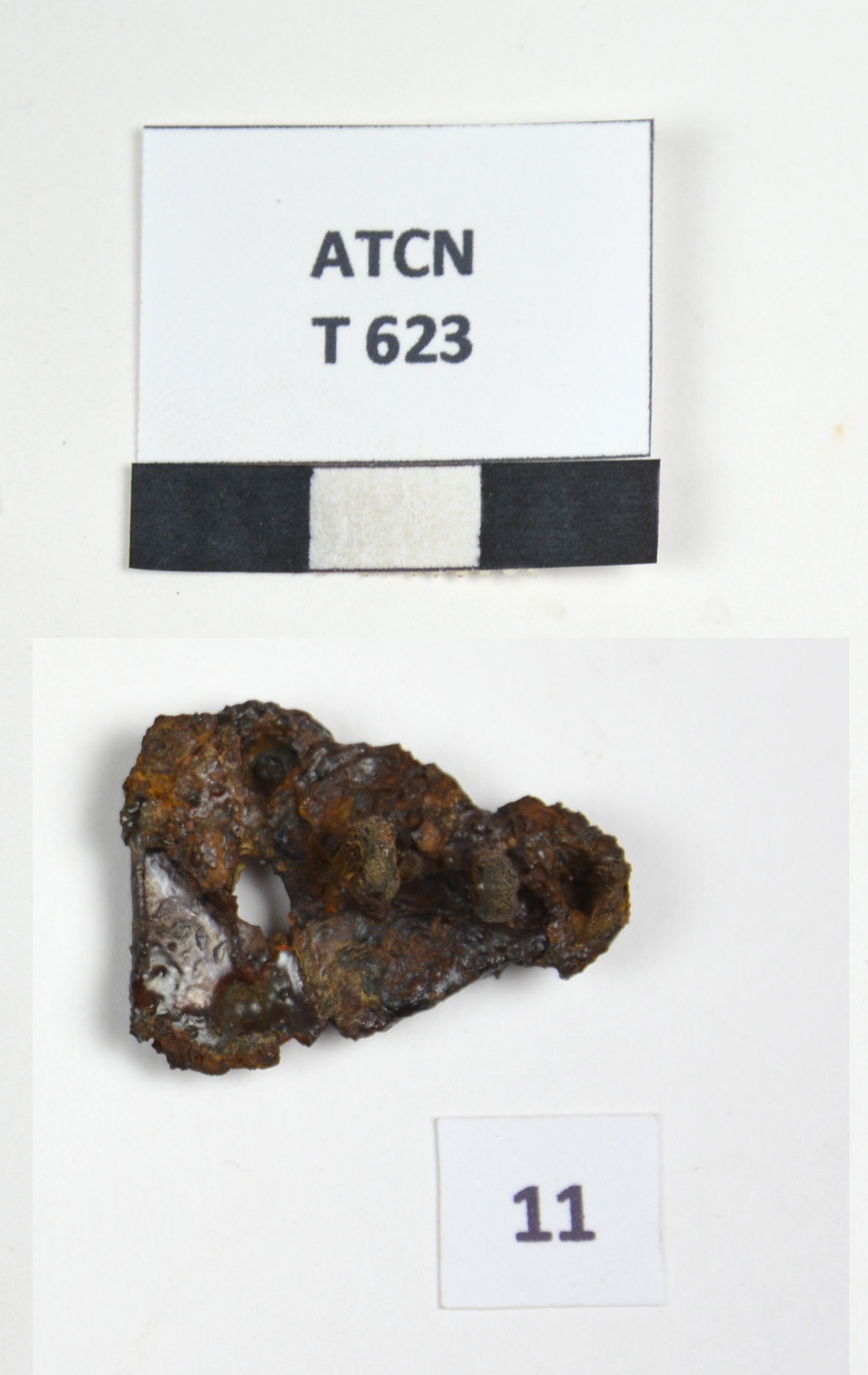 SINGOLO OGGETTO/ cintura, PERIODIZZAZIONI/ Storia/ Eta' medievale/ Alto Medioevo