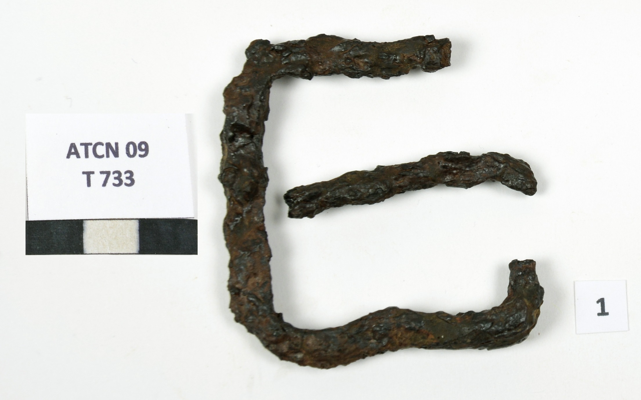 SINGOLO OGGETTO/ fibbia, PERIODIZZAZIONI/ Storia/ Eta' medievale/ Alto Medioevo