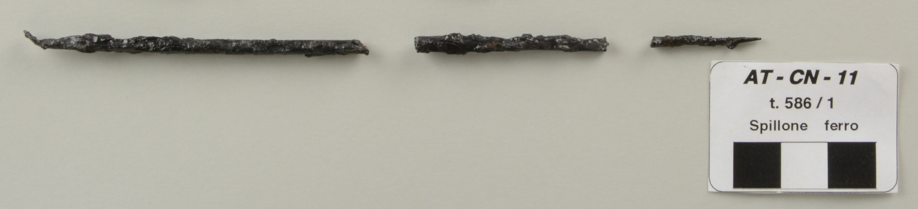 SINGOLO OGGETTO/ spillone, PERIODIZZAZIONI/ Storia/ Eta' medievale/ Alto Medioevo