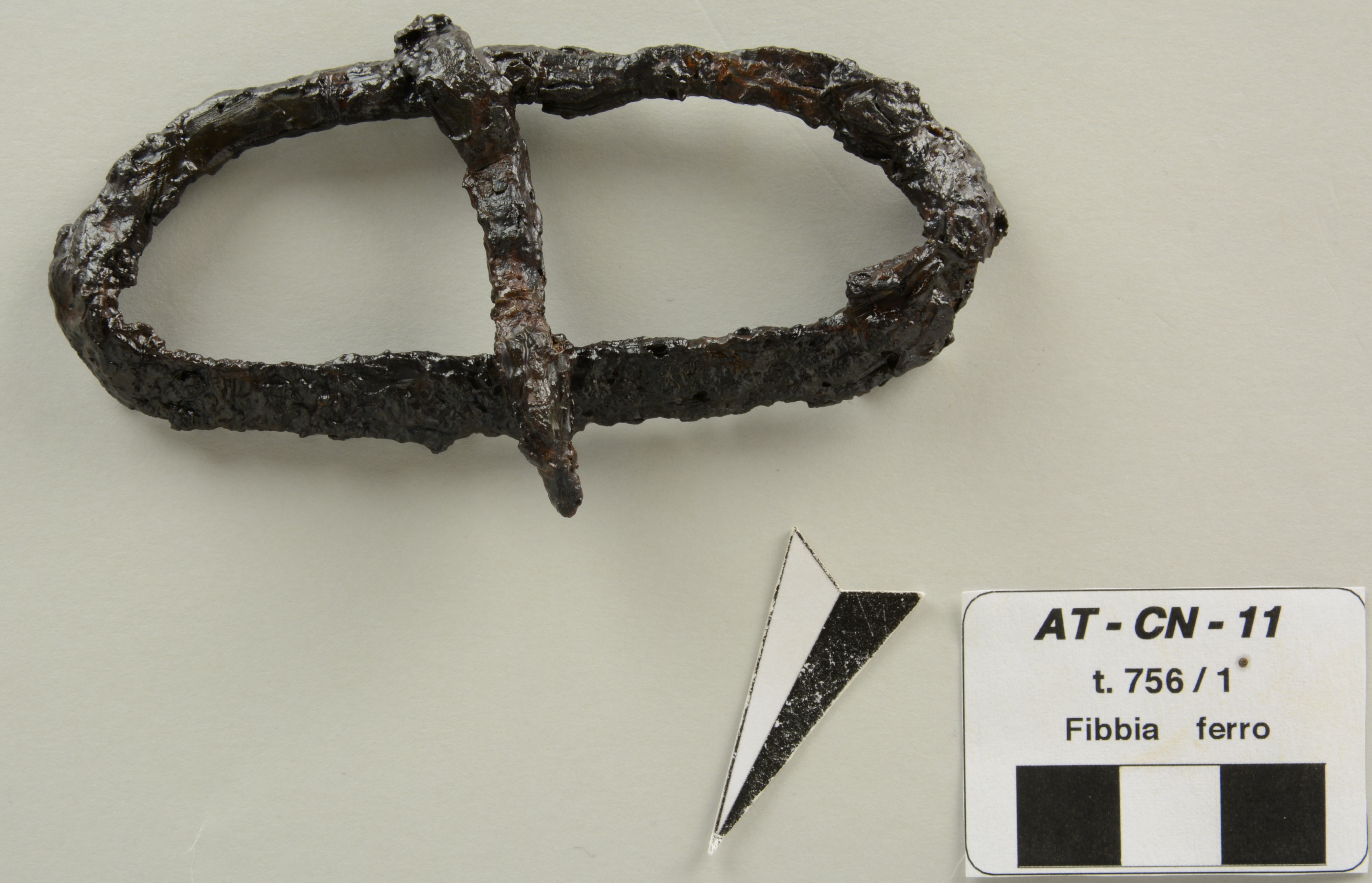 SINGOLO OGGETTO/ fibbia, PERIODIZZAZIONI/ Storia/ Eta' medievale/ Alto Medioevo