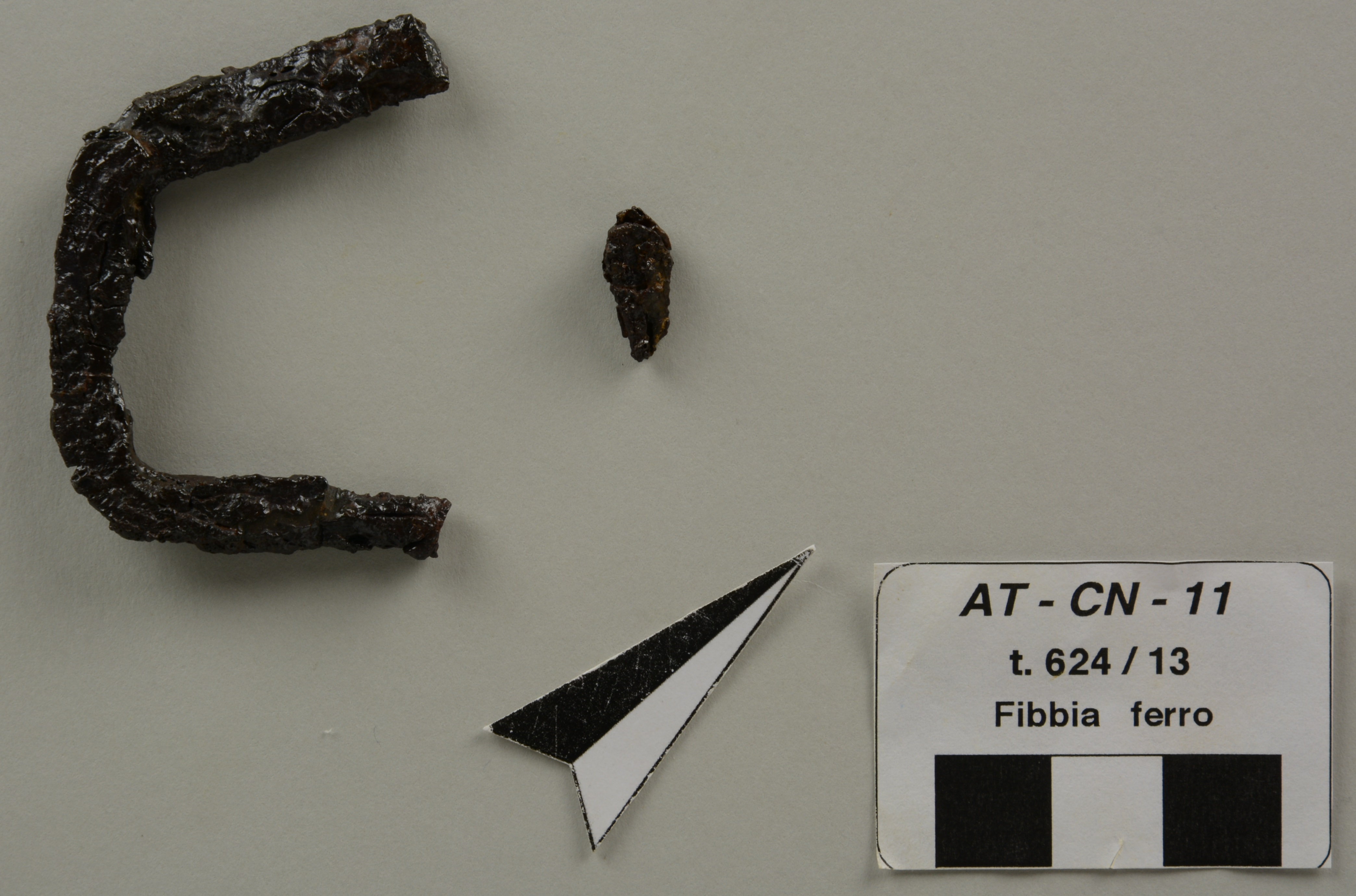 SINGOLO OGGETTO/ fibbia, PERIODIZZAZIONI/ Storia/ Eta' medievale/ Alto Medioevo