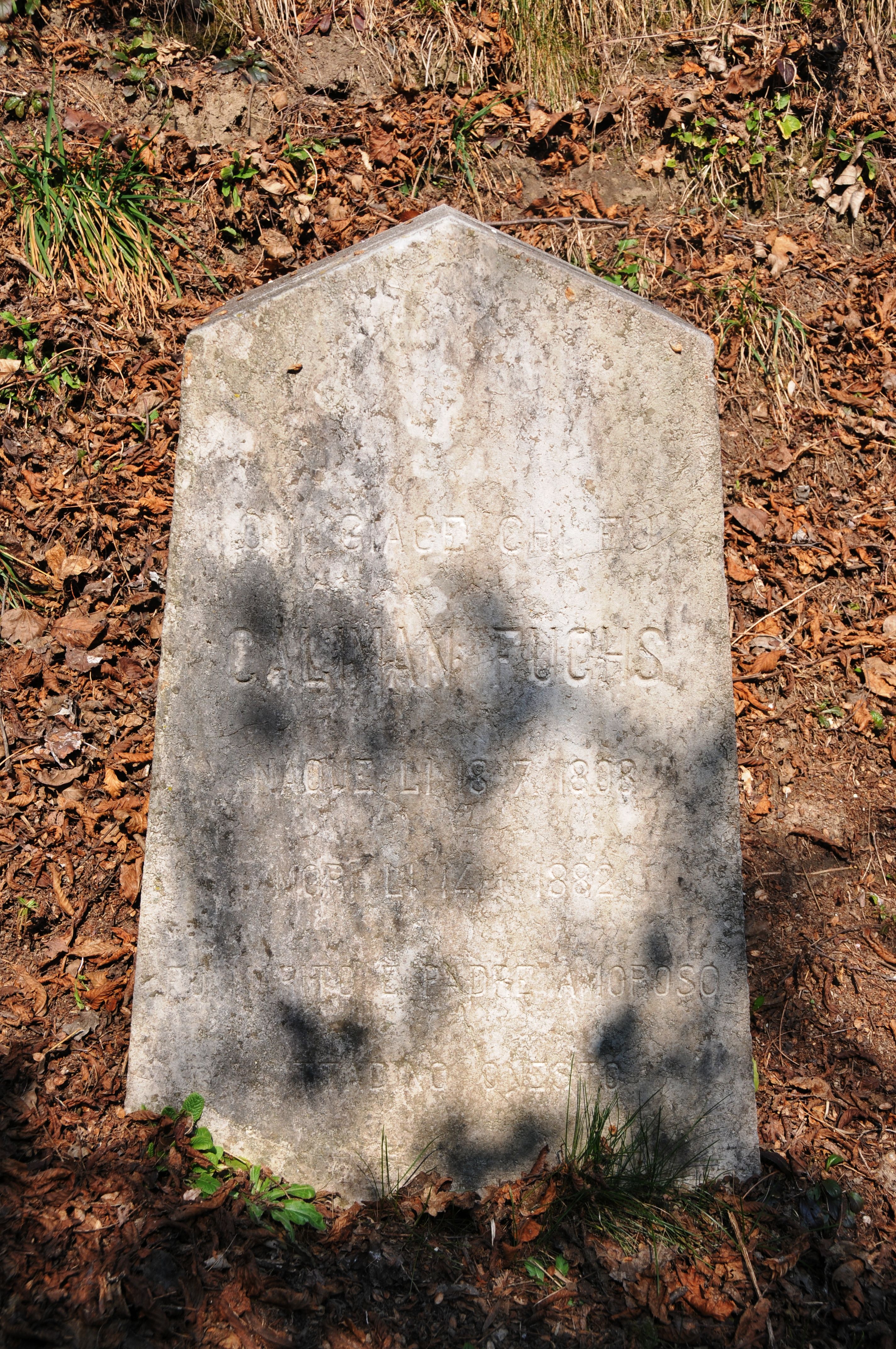 cippo funerario - ambito ebraico (XIX)