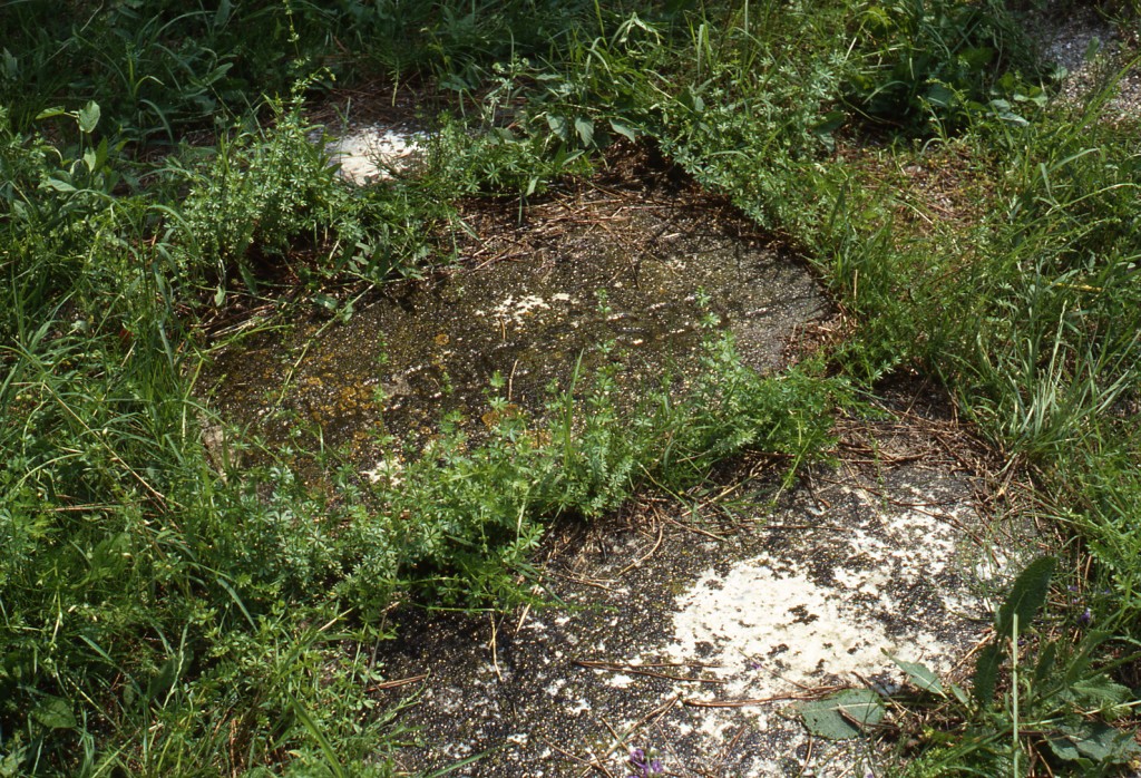 stele funeraria - ambito ebraico (XX)