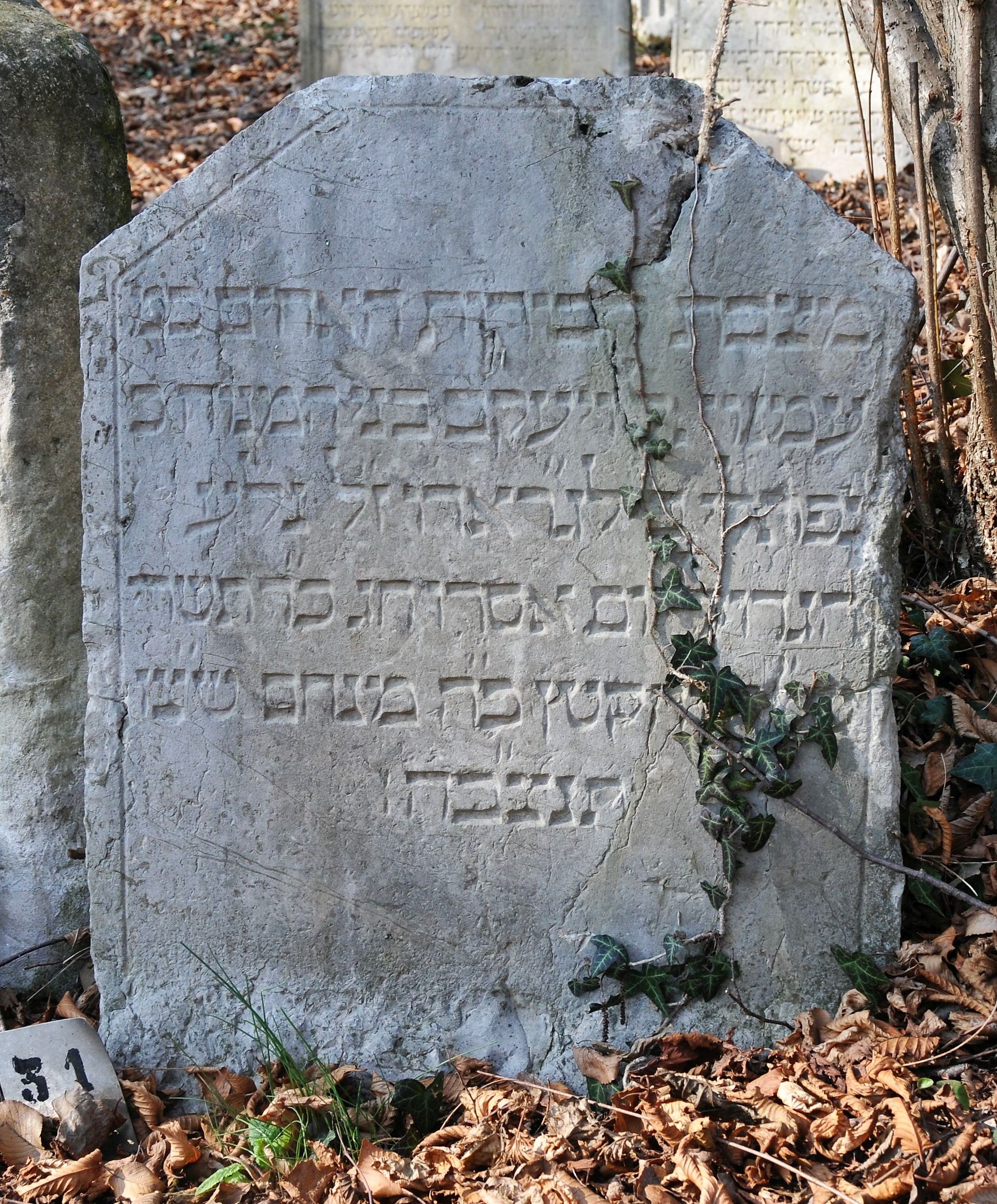 stele funeraria - ambito ebraico (XVII)