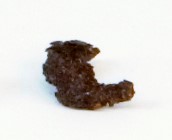 fibula, fibula in ferro (secondo quarto IV a.C)