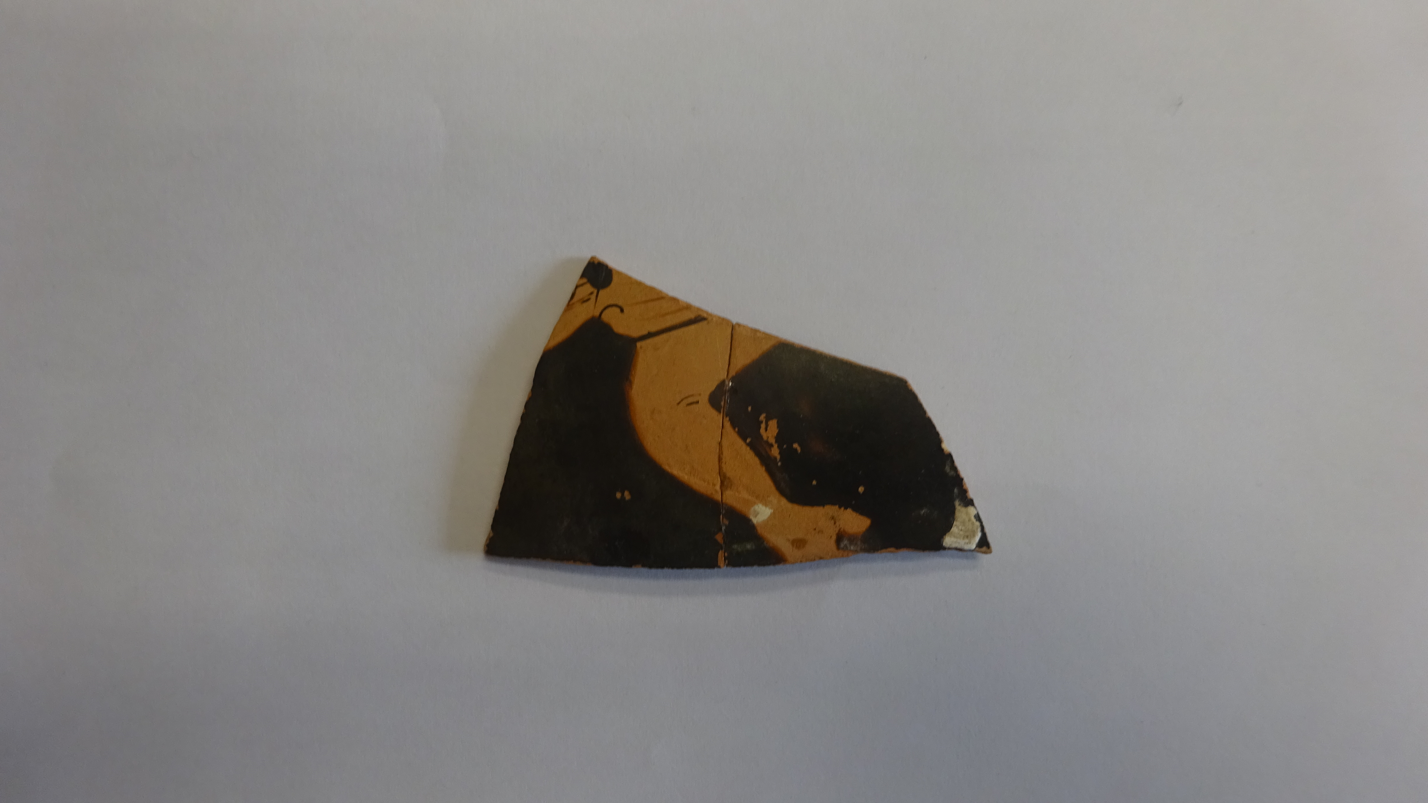 forma aperta, Parete di ceramica a figure rosse (inizio/ inizio IV a.C)