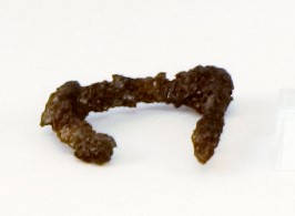 fibula, FIBULA IN FERRO (secondo quarto IV a.C)