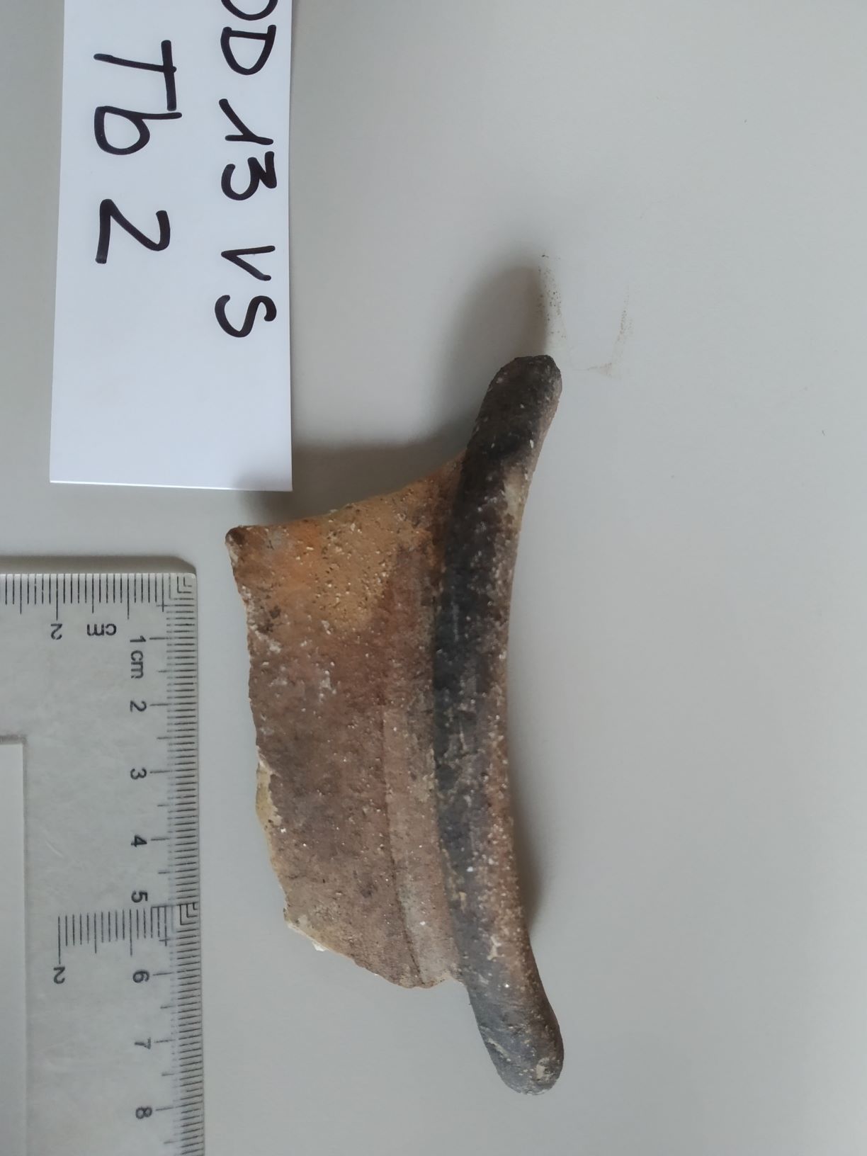 SINGOLO OGGETTO/ olla, SECOLI/ I