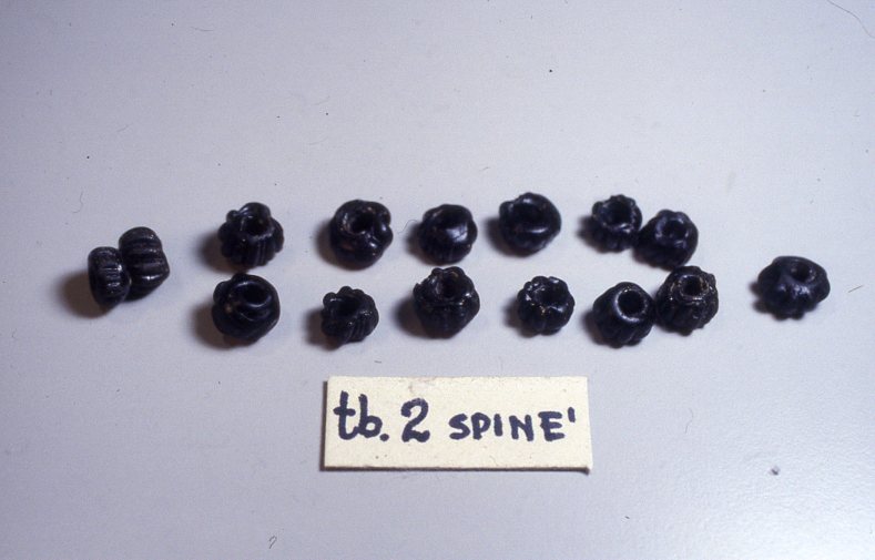 SINGOLO OGGETTO/ vago, SECOLI/ III