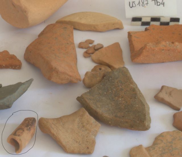 SINGOLO OGGETTO/ balsamario, SECOLI/ ARCHI DI SECOLI/ Fine II-III sec. d.C