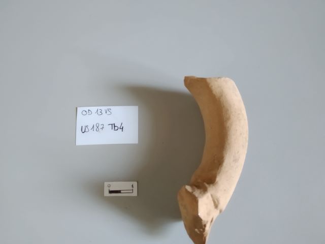 SINGOLO OGGETTO/ anfora, SECOLI/ ARCHI DI SECOLI/ Fine II-III sec. d.C