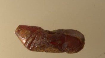 SINGOLO OGGETTO/ pendente, SECOLI/ ARCHI DI SECOLI/ Seconda metà I - inizi II