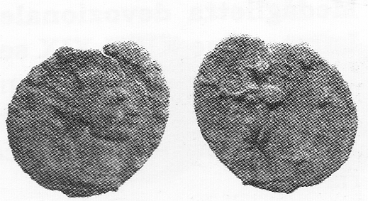 SINGOLO OGGETTO/ Moneta, 268-270 d.C