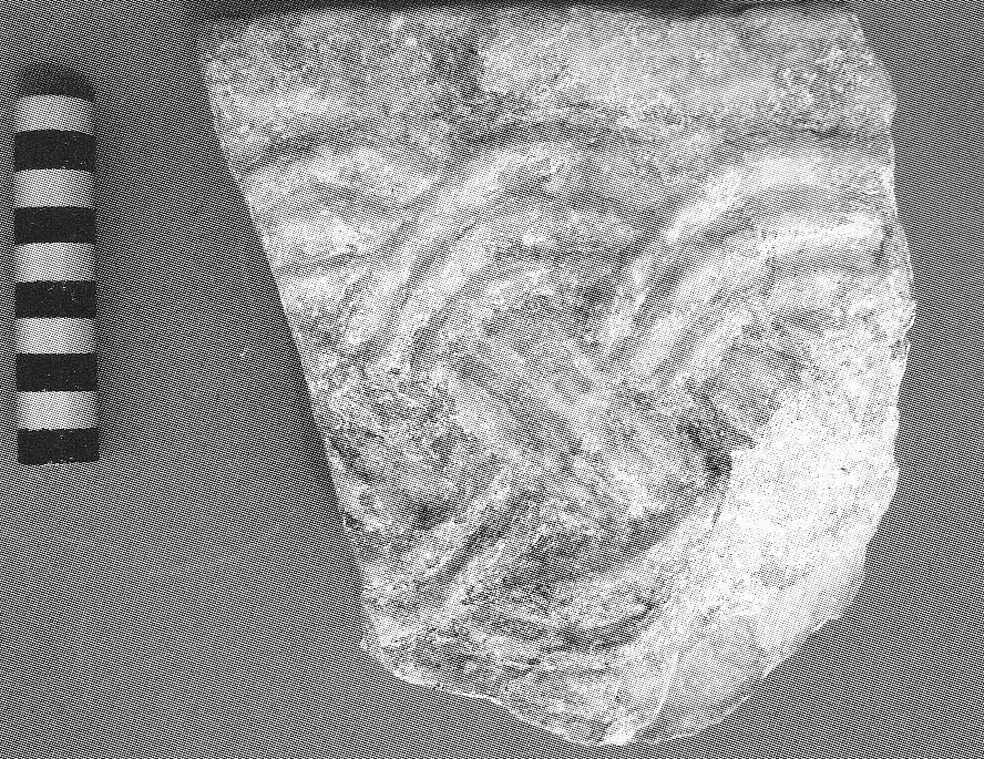 SINGOLO OGGETTO/ cornice, VIII-IX secolo d.C