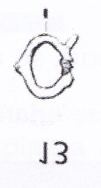 SINGOLO OGGETTO/ Fibbia, secc. XIV-XV d.C