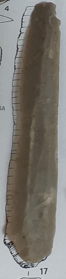 SINGOLO OGGETTO/ lama, PERIODIZZAZIONI/ PREISTORIA/ Neolitico