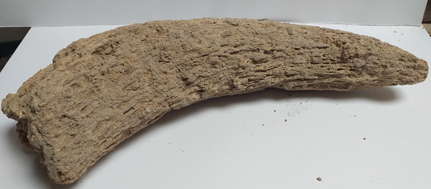 SINGOLO OGGETTO/ corno, PERIODIZZAZIONI/ PREISTORIA/ Età del Rame