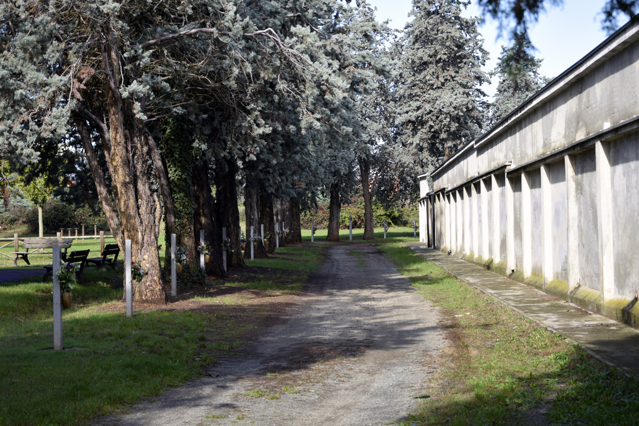 parco, commemorativo/ ai caduti della prima e della seconda guerra mondiale, Parco della Rimembranza di Beinasco - ambito piemontese (XX)