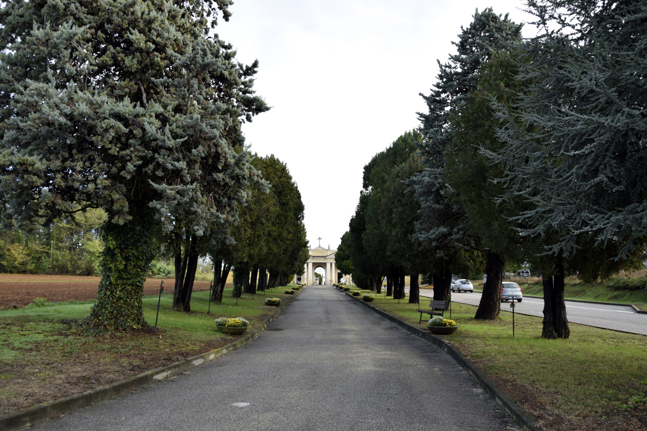 viale, commemorativo/ ai caduti della prima e della seconda guerra mondiale, Viale della Rimembranza di Rivalta di Torino - ambito piemontese (XX, XX, XX)