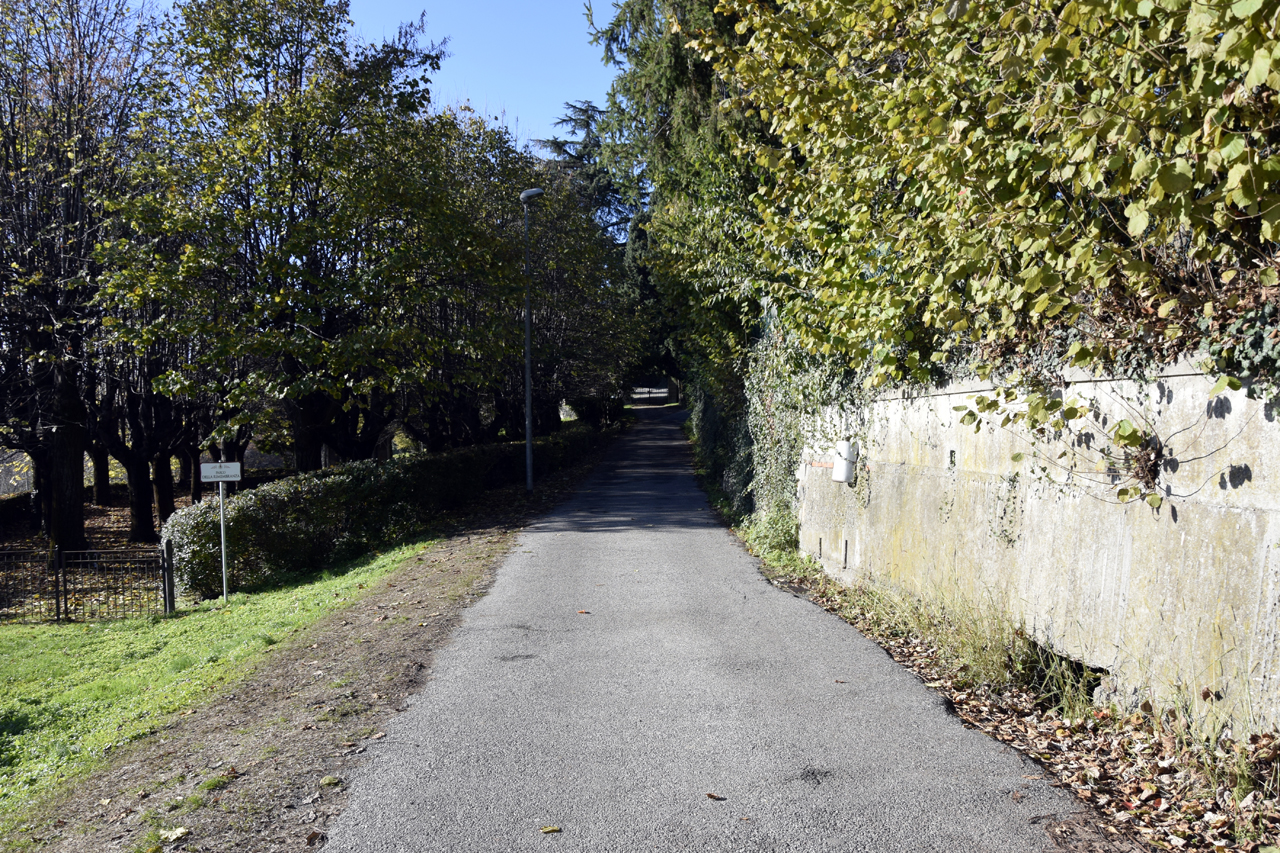 viale, commemorativo, Via della Rimembranza di Castagneto Po - ambito piemontese (XX-XXI)