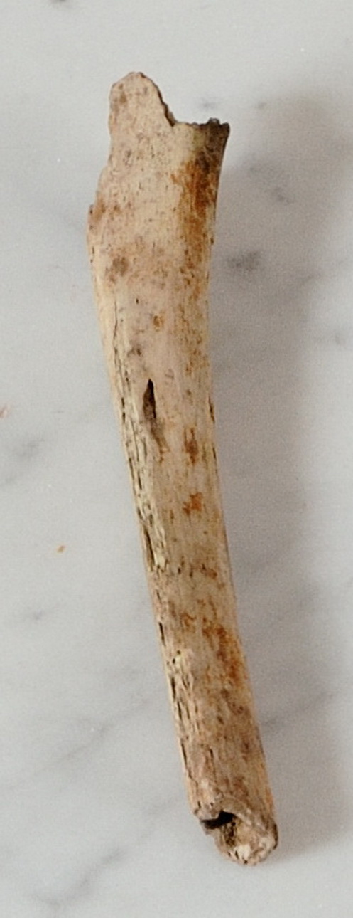 osso (sec. VII)