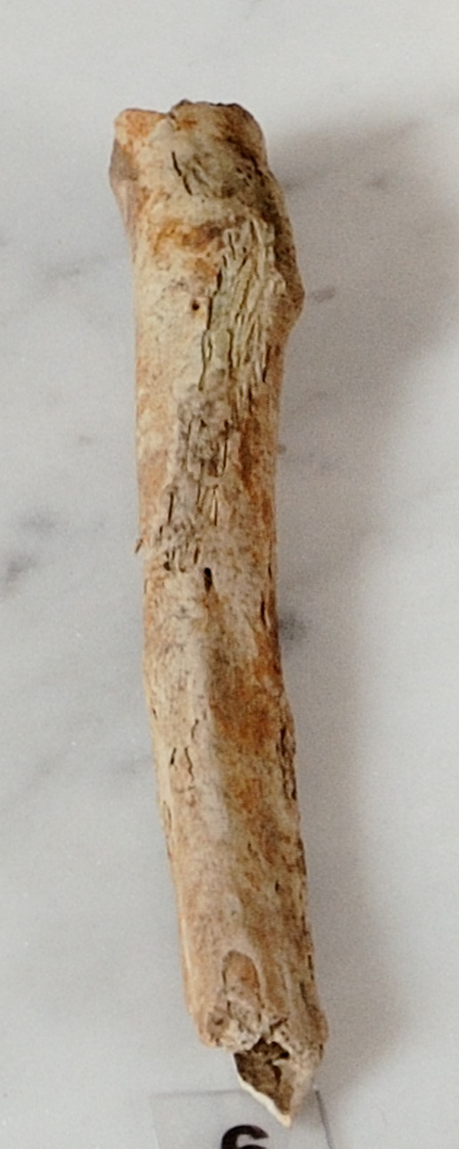 osso (sec. VII)