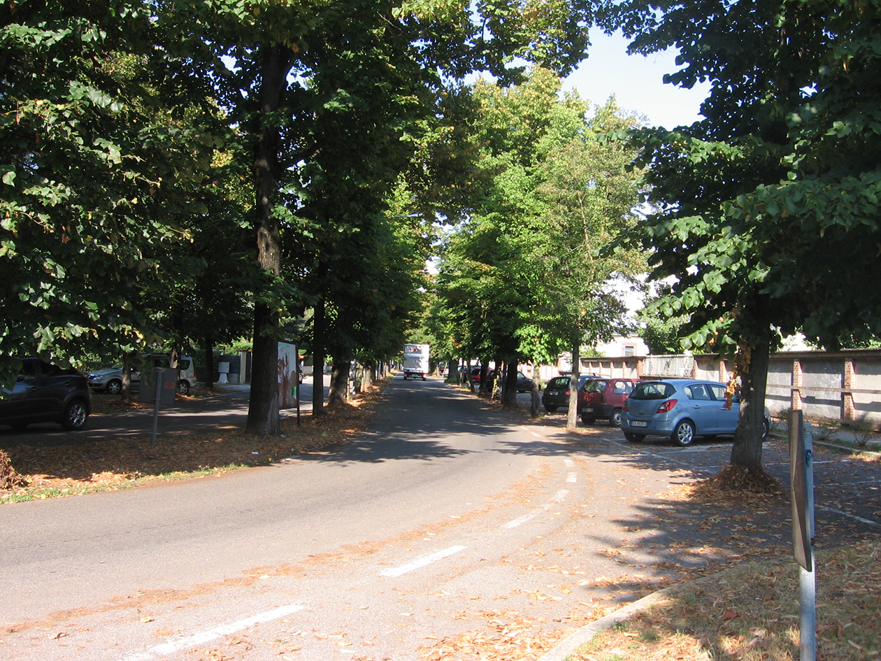 viale, commemorativo/ ai caduti della prima e seconda guerra mondiale, Viale della Rimembranza di Busto Garolfo (XX, XX)