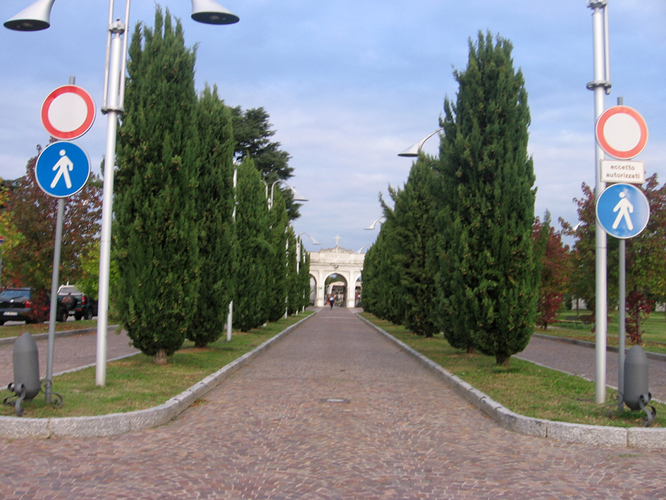 viale, commemorativo/ ai caduti della prima e seconda guerra mondiale, Viale della Rimembranza di Cerro Maggiore (XX)
