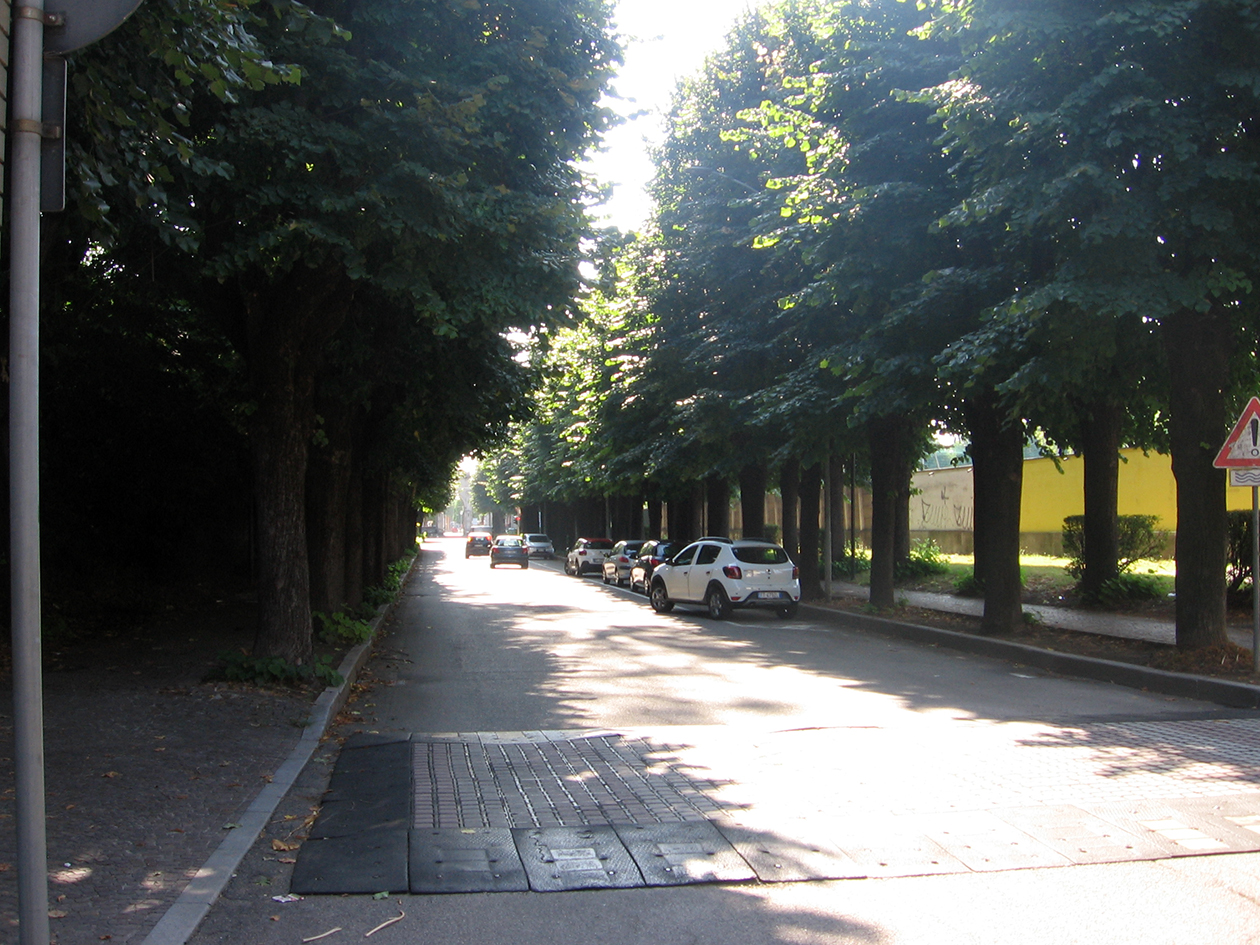viale, commemorativo, Viale della Rimembranza di Corbetta (XX)