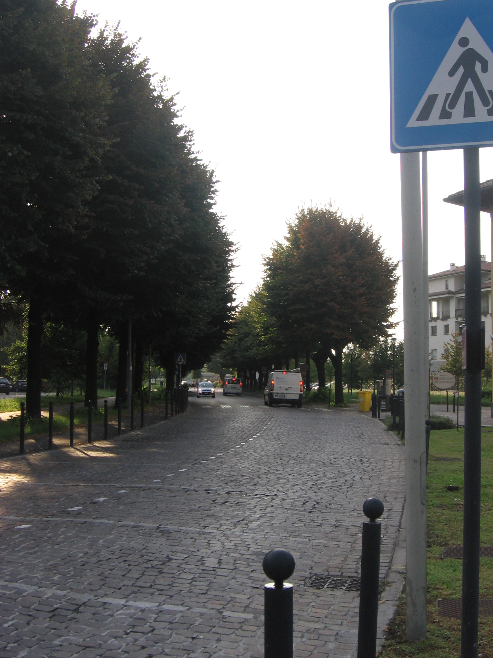 viale, commemorativo/ ai caduti della prima guerra mondiale, Viale della Rimembranza di Novate Milanese (XX)