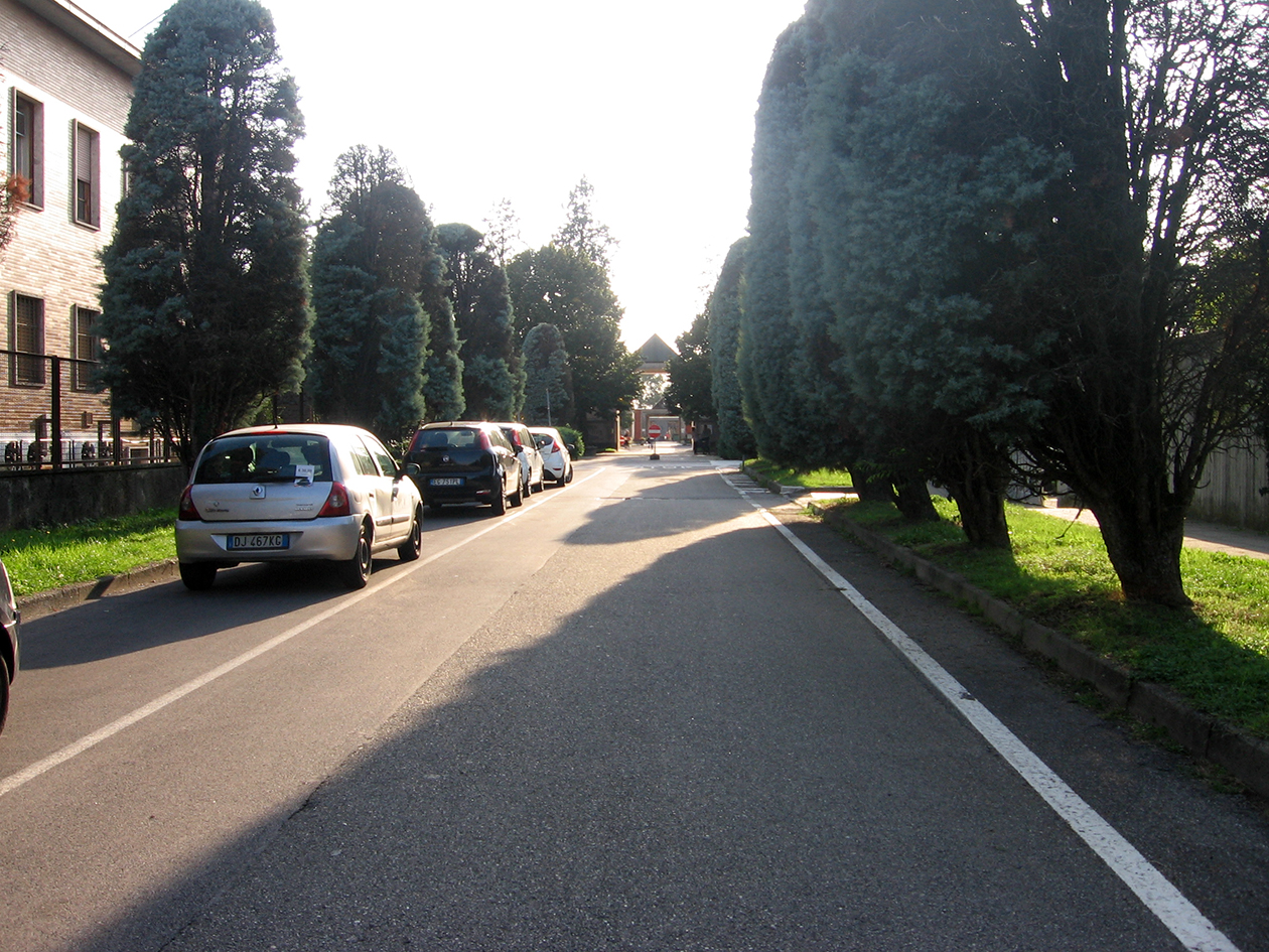 viale, commemorativo/ ai caduti della prima e seconda guerra mondiale, Viale della Rimembranza di Settimo Milanese (XX)