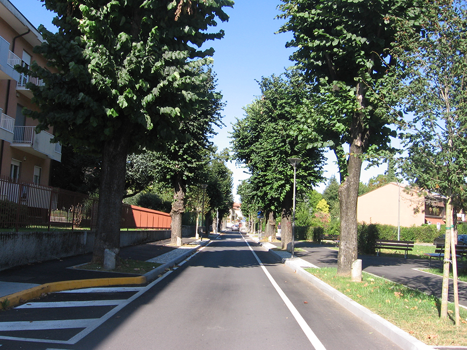 viale, commemorativo/ ai caduti della prima e della seconda guerra mondiale, Viale della Rimembranza di Vimercate (XX, XX)